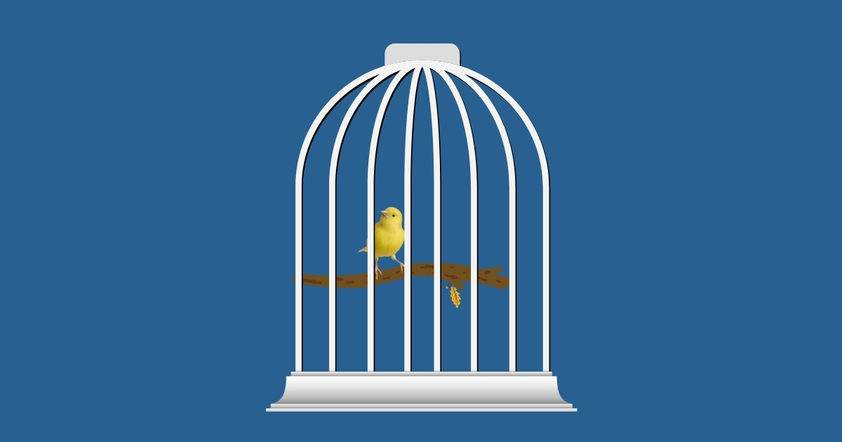 The Canary in the Coalmine