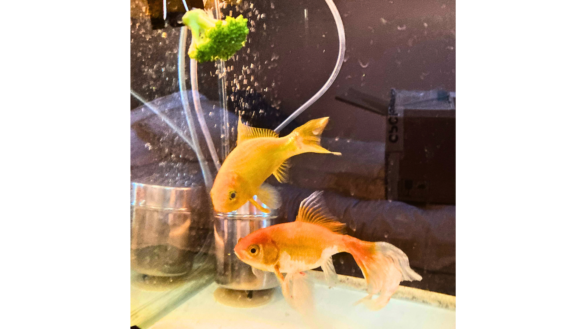 Yet to recieve notice???? It will not be four more days. 